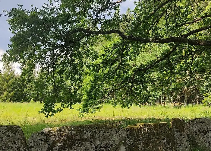 Witericus Hospedaxe Casa vacanze Guitiriz